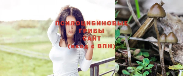 ешки Рославль