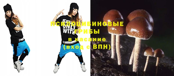 ешки Рославль