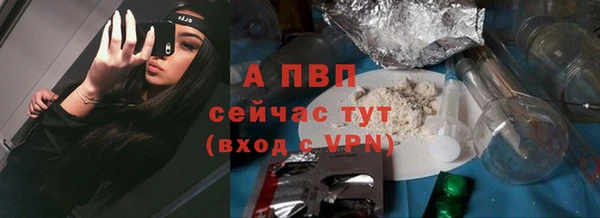 spice Ростов