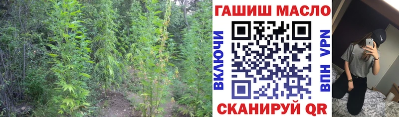 darknet Telegram Сердобск ТГК вейп с тгк
