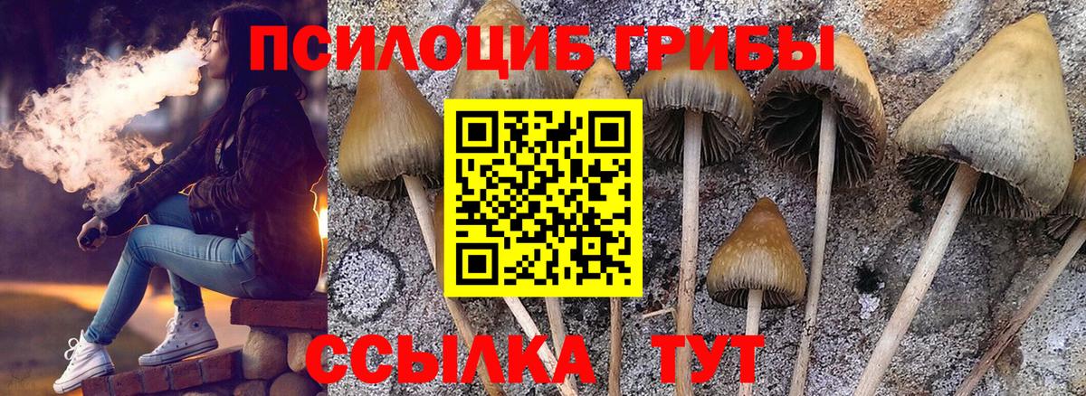 Галлюциногенные грибы мицелий Сердобск